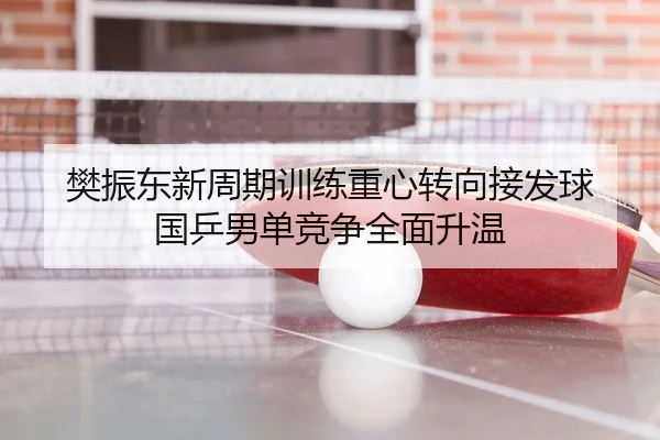 樊振东新周期训练重心转向接发球 国乒男单竞争全面升温